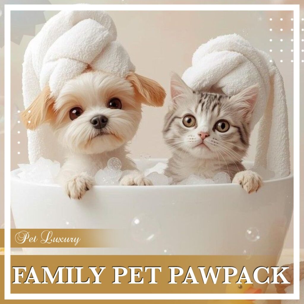 pawpack luxury dog cat subscription boxes p